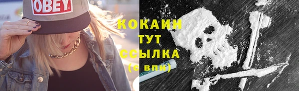 дурь Нея