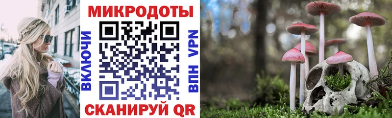 Галлюциногенные грибы ЛСД дарнет шоп Малая Вишера